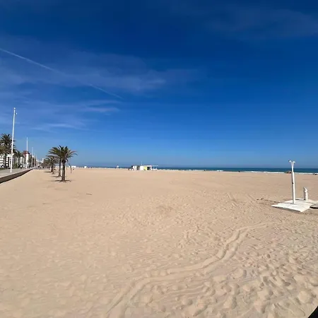 Wind Rose Gandia